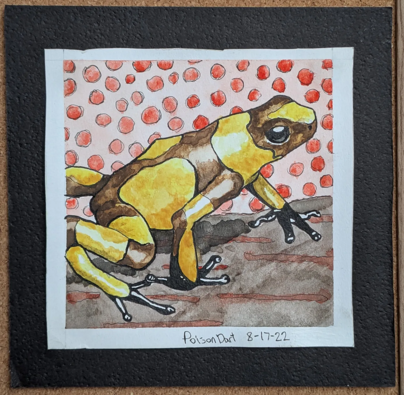 Poison Dart Frog