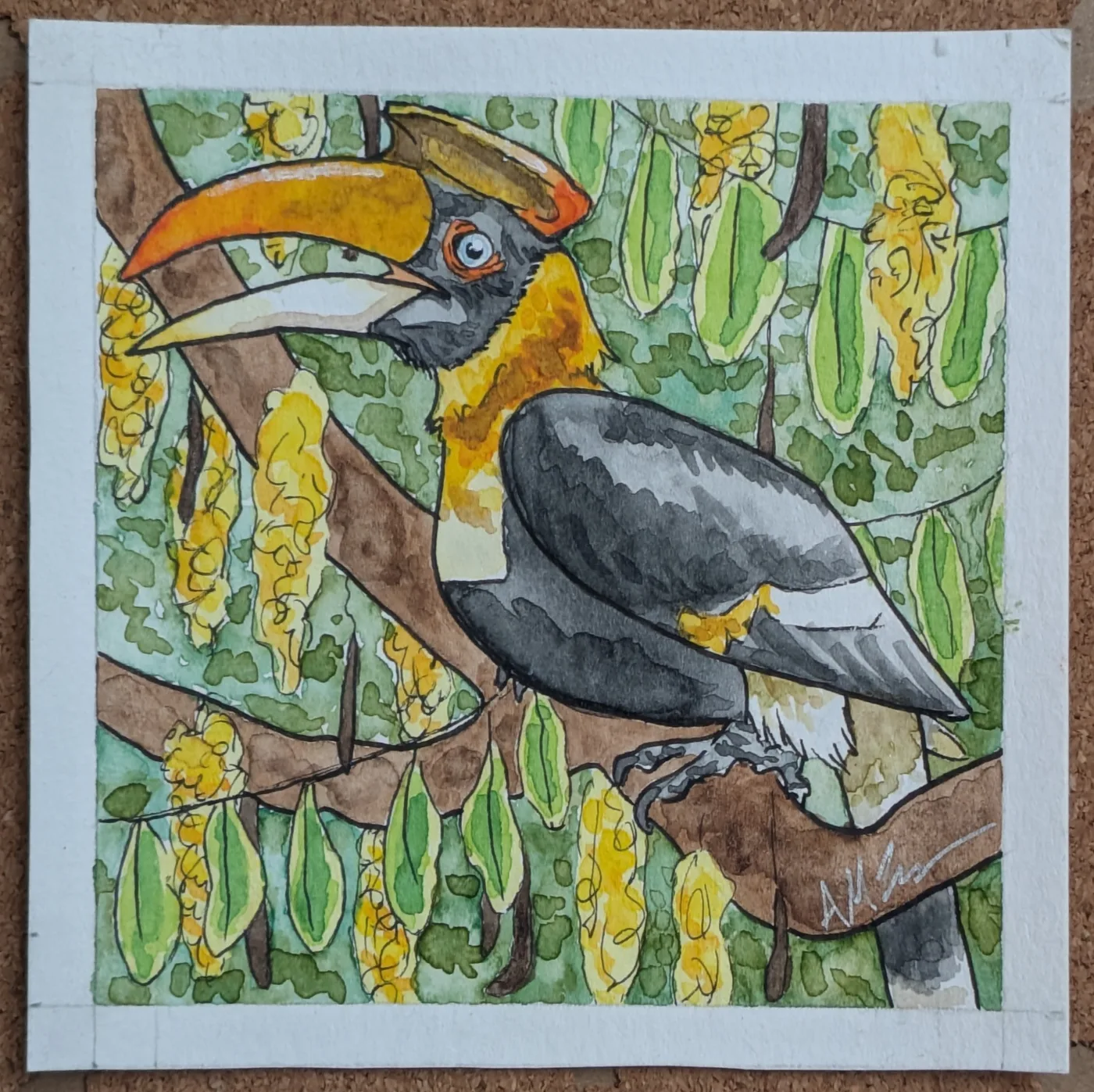 Hornbill