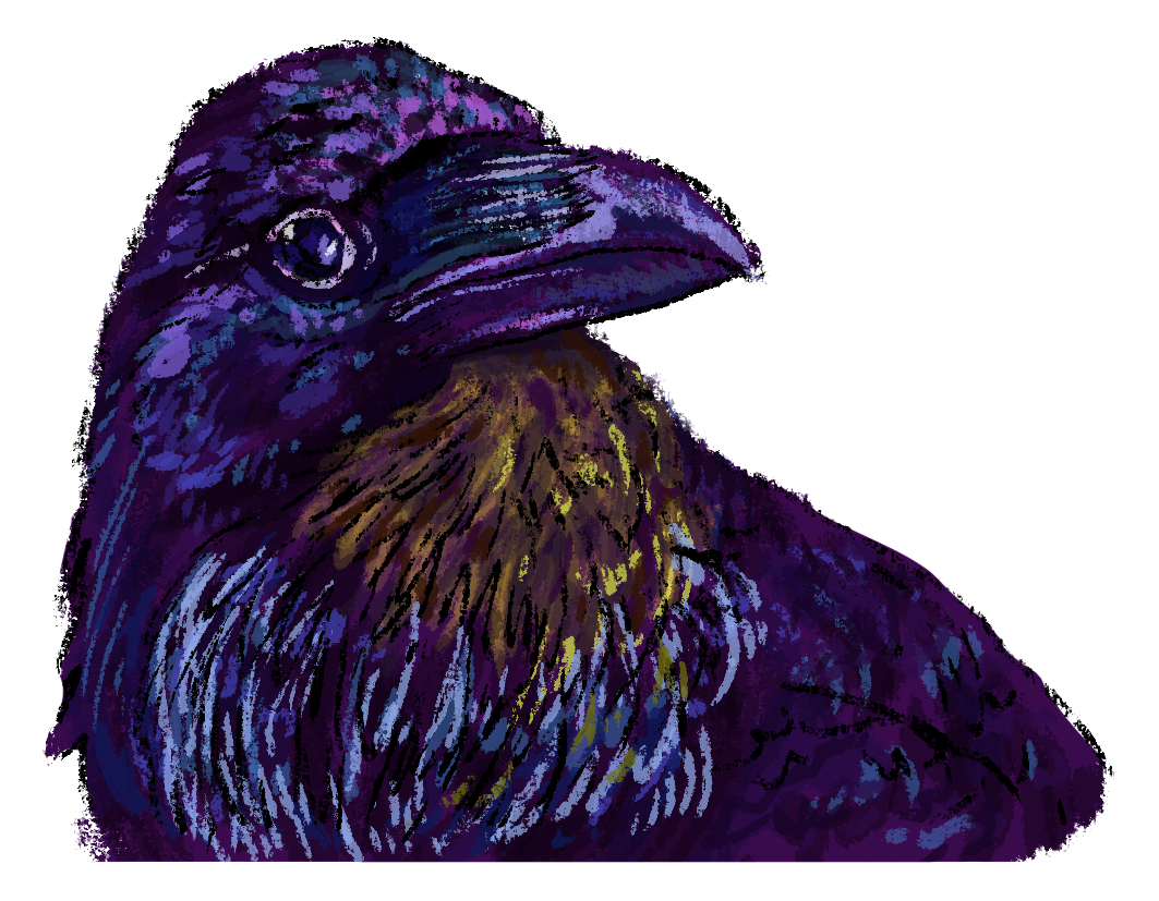 Raven