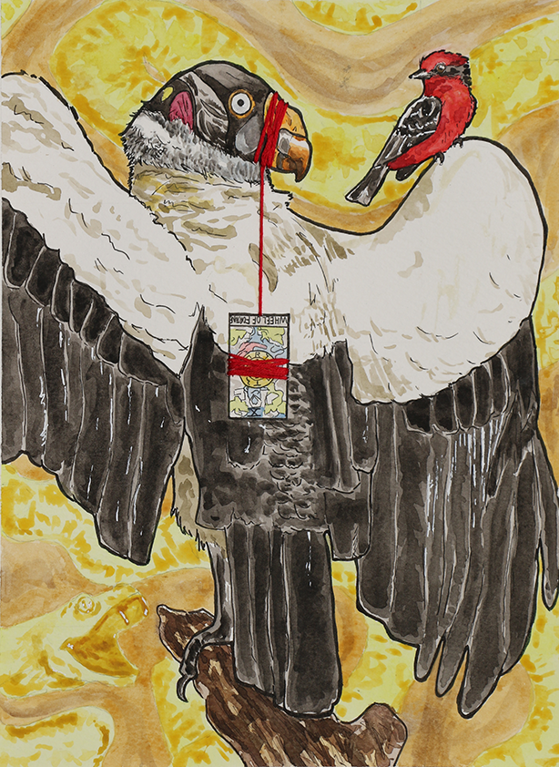 vulture